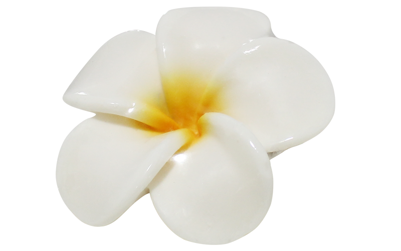 SBT-024f Frangipani