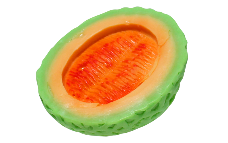 SBT-024f Cantaloupe